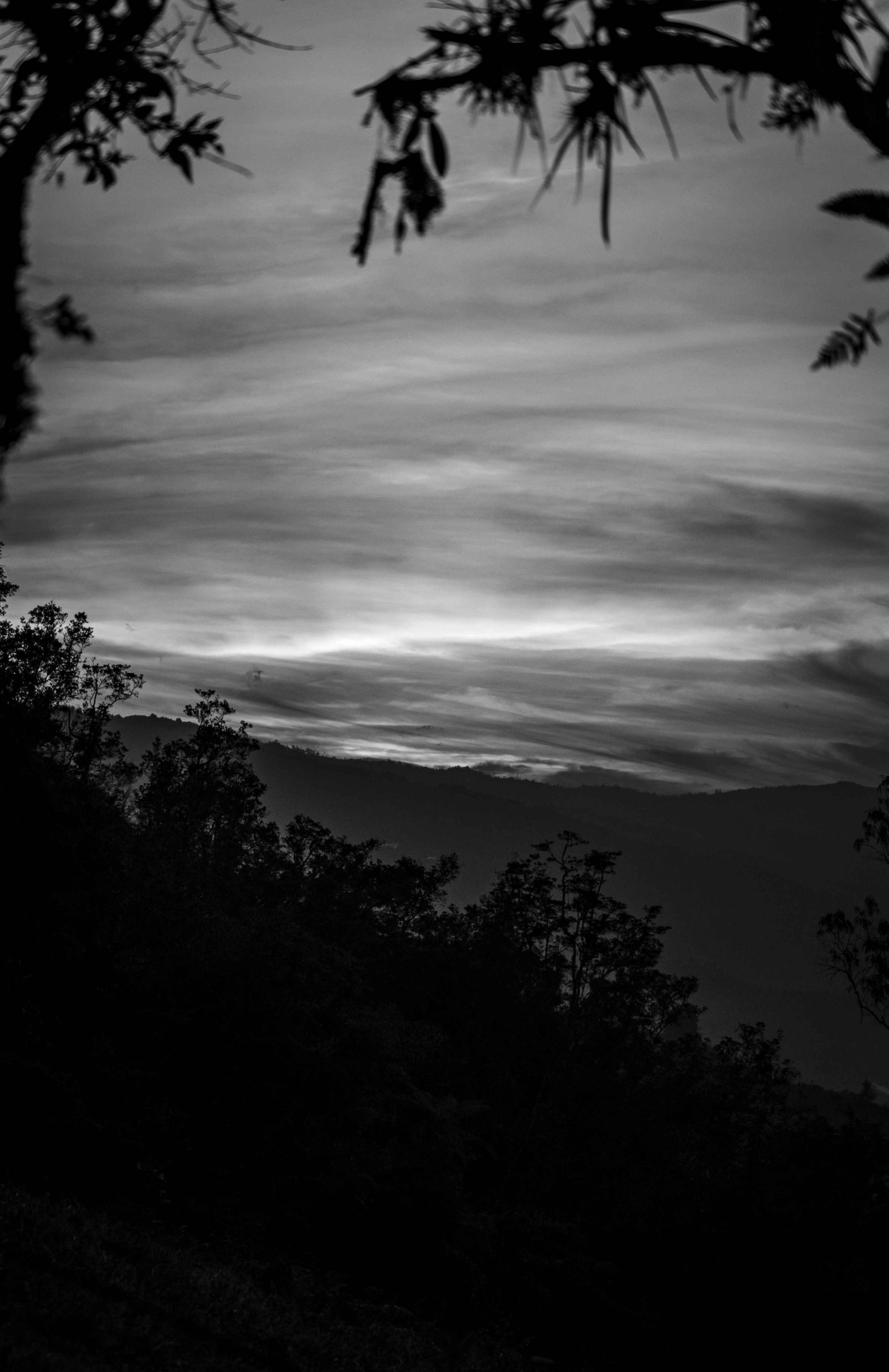 landscape-bn